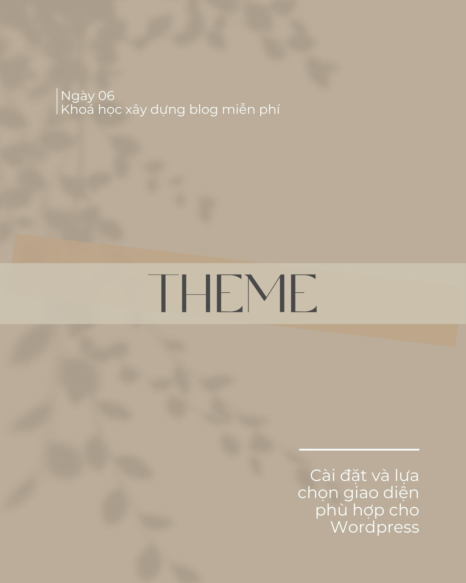 cover-b6
